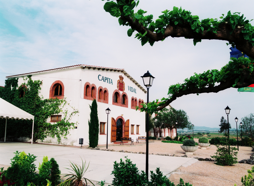 Bodegues Capità Vidal